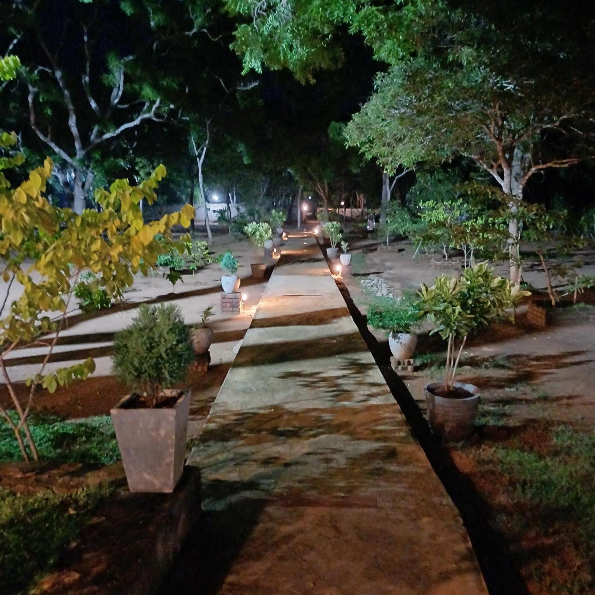 Forest Edge Villa أنرادابورام المظهر الخارجي الصورة
